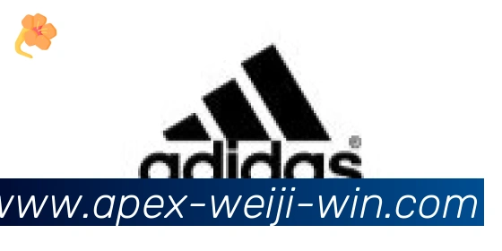 维基体育合作伙伴